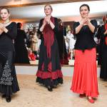 Flamenco_Opening_Pavel_2010-04-17_32.jpg